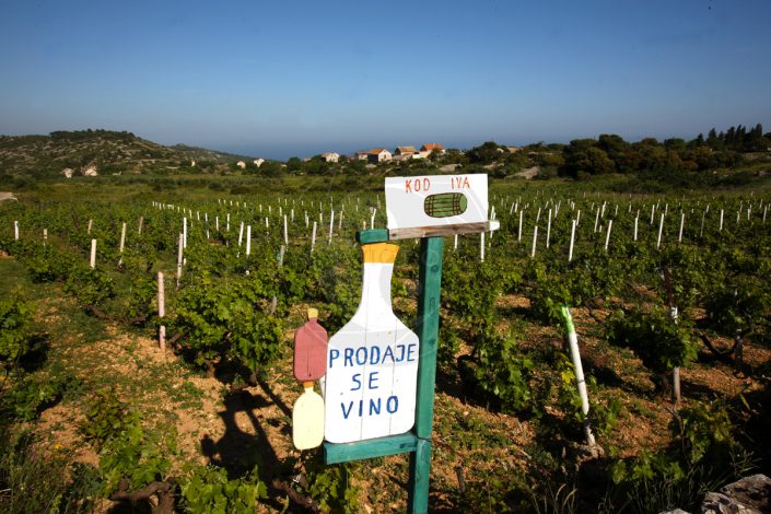 Isola-di-Vis-Vigneti©neviodoz
