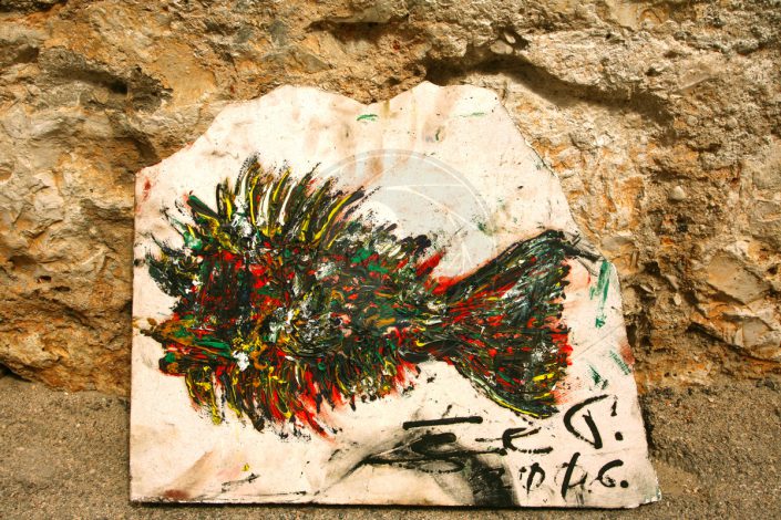 Isola-di-Vis-pesce©neviodoz